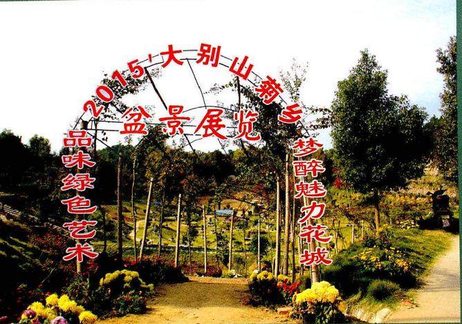 大别山菊乡盆景展览在麻城市五脑山国家森林公园隆重开幕