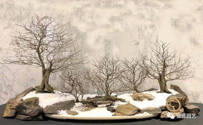 2017年第五届冬季剪影盆景盆景展