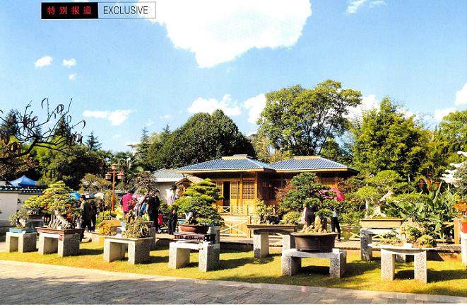 2015年中国昆明世博杯盆景精品邀请展