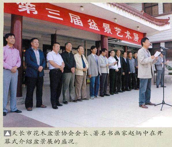 天长市文明办在市博物馆举办了天长市第三届盆景艺术展