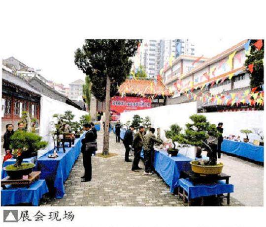 陕西举办洛南县第十届盆景奇石根艺展