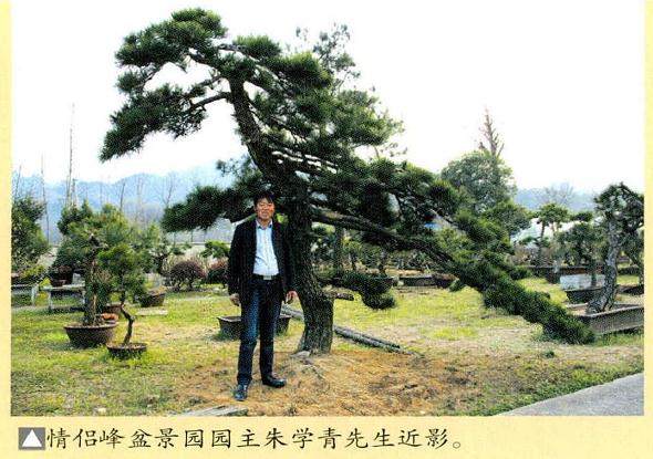 安徽朱学青先生创建的情侣峰盆景园就位于汤池镇