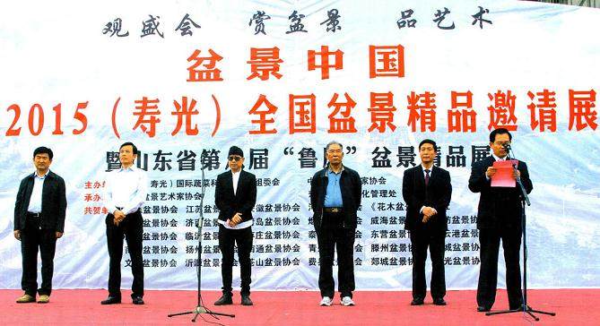 2015年山东省第八届鲁风盆景精品展