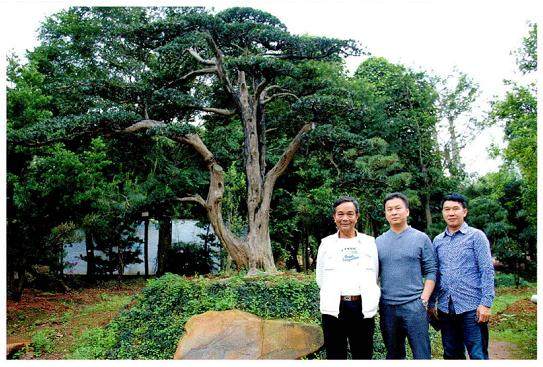 记玉林的汉桂盆景园