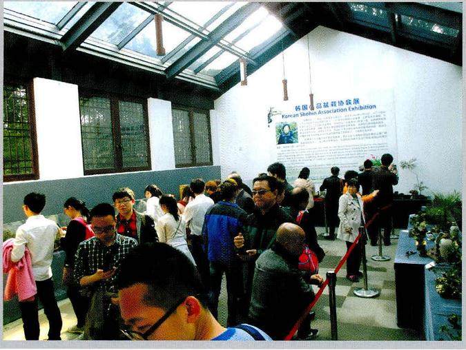 在韩国非常流行的盆景素材--山野草