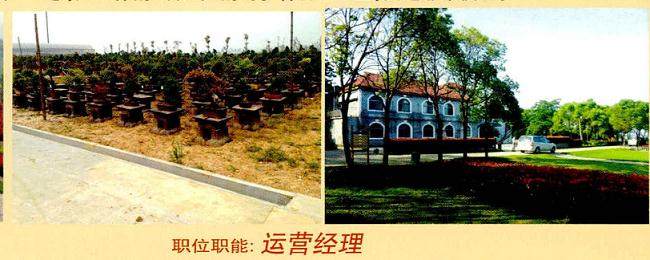 武汉鼎园生态发展有限公司招聘盆景师傅