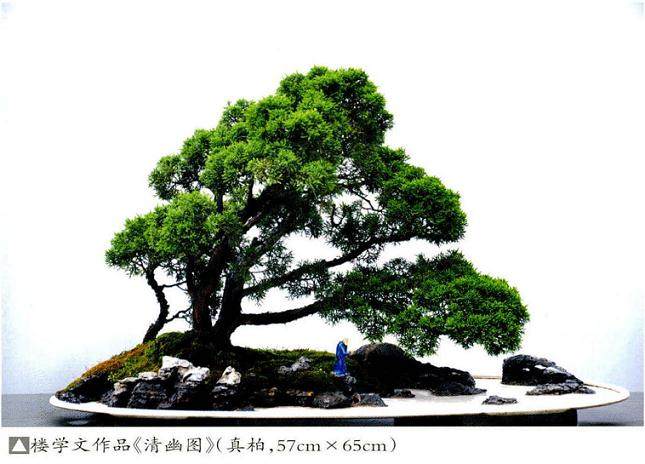 逸园义乌市盆景艺术协会副会长的私家盆景园