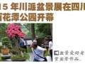 2015川派盆景展览5月20日在成都百花潭公园开幕