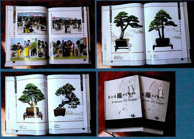 《第六届中国盆景学术研讨会》正式出版发行