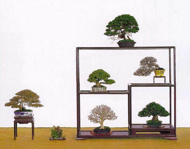 梁悦美：中国盆景界一位独特而又神秘的人物