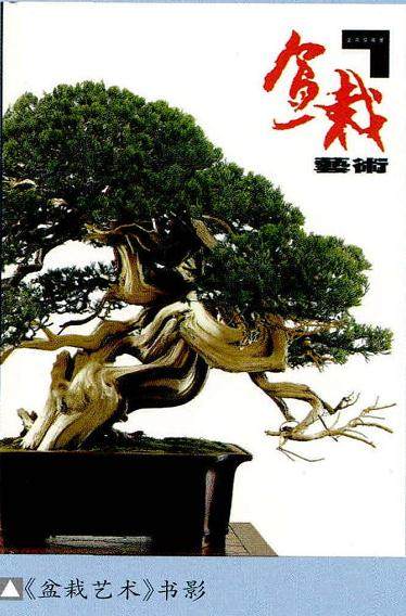 梁悦美中国盆景界一位独特而又神秘的人物