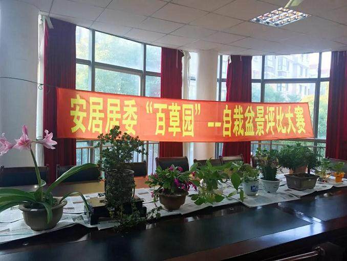 百草园花卉爱好者自栽盆景评比活动