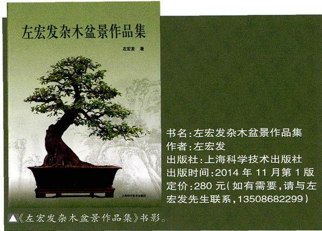 近期拜读了《左宏发杂木盆景作品集》 心中充满感慨