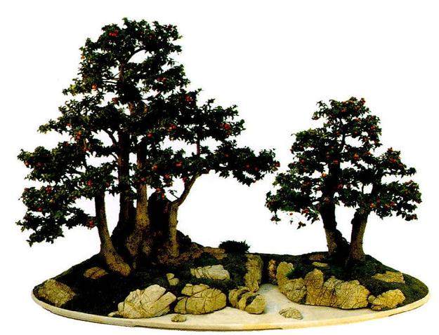 近期拜读了《左宏发杂木盆景作品集》 心中充满感慨