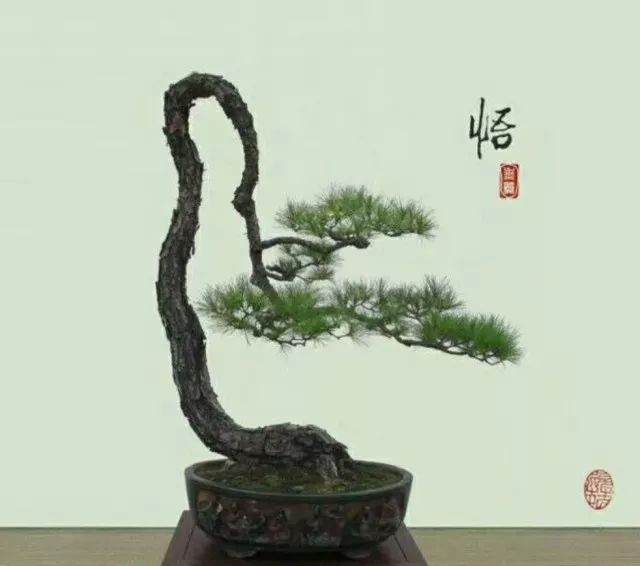 中国盆景艺术事业的发展期:综合人才的缺乏