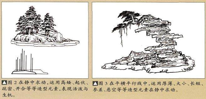 谈盆景动势与平衡 均衡之间的关系