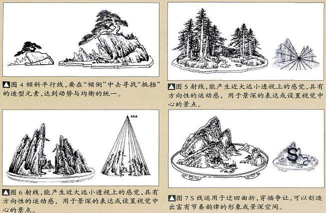 谈盆景动势与平衡 均衡之间的关系