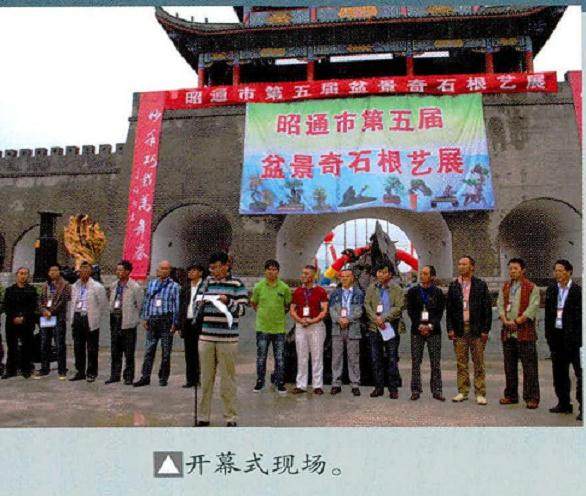 昭通市第五届盆景展在昭阳区乌蒙古镇广场隆重开幕