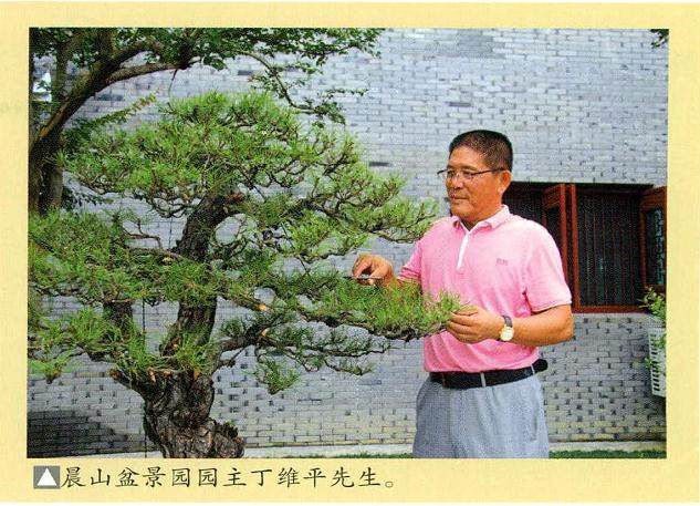 特别是近十余年 常州私家盆景园建设如火如茶