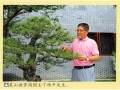 特别是近十余年 常州私家盆景园建设如火如茶