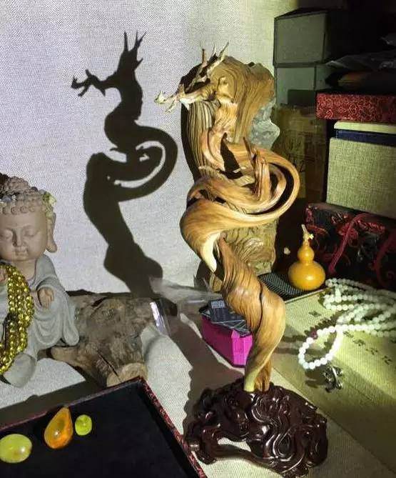 老农赶时髦 拿工艺崖柏当盆景风吹日晒