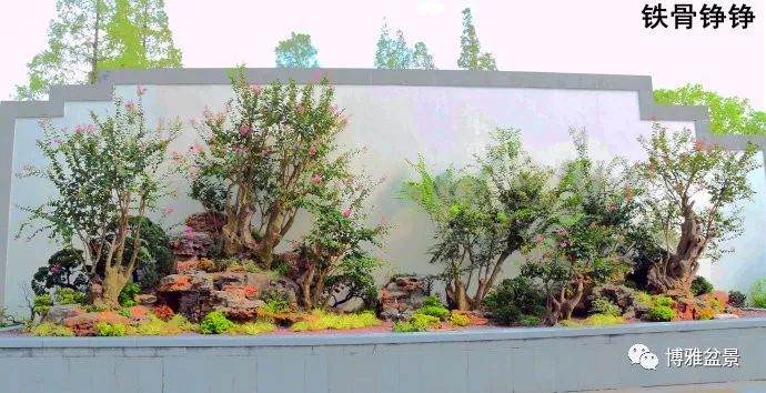 上海植物园盆景园汇集了以海派盆景2000盆