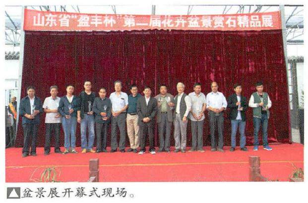 山东省第二届盈丰杯盆景展在潍坊举办