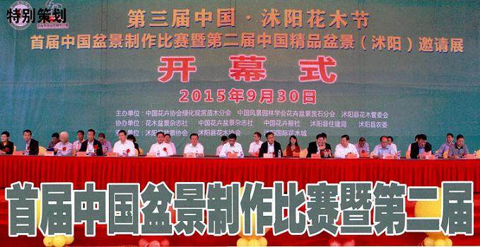 沭阳国际花木城广场进行了盛大的盆景制作比赛