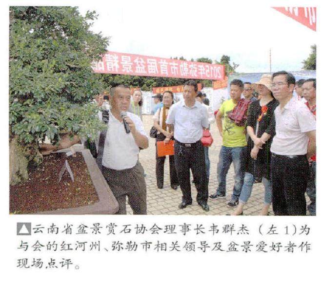 弥勒市首届盆景精品邀请展在市文体中心隆重举行