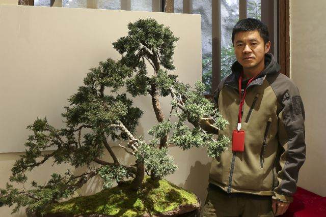 舟山一男子竟花十几万买盆景!