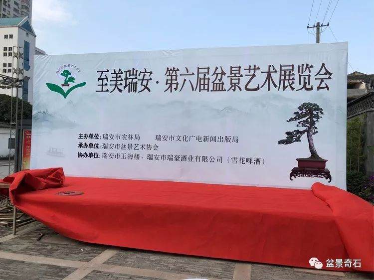 浙江省瑞安市第六届盆景艺术展开幕