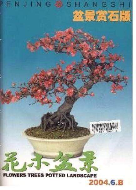 湖北房县李永全我对《花木盆景》有四“爱“