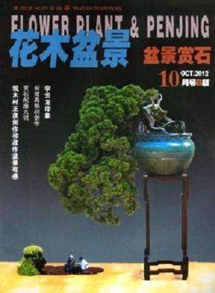 自从《花木盆景》杂志改版分A、B版后 我一直订阅盆景赏石版