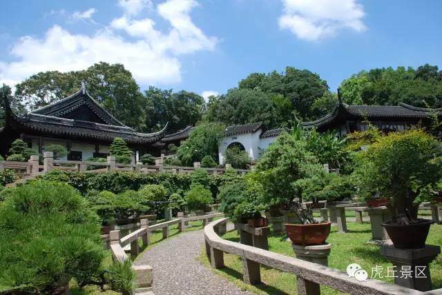 中华盆景第一园——虎丘万景山庄盆景园
