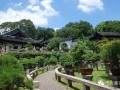 中华盆景第一园-虎丘万景山庄盆景园
