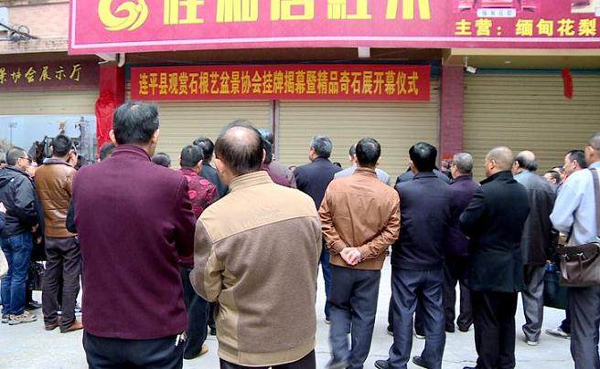 连平县观赏石根艺盆景协会挂牌揭幕