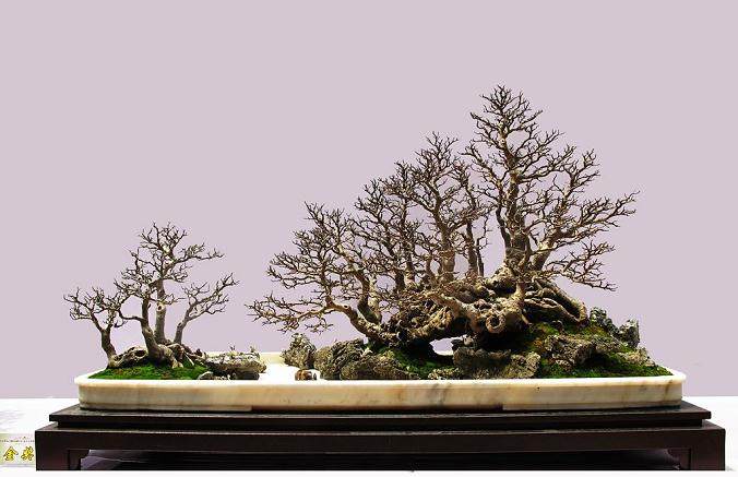 岭南盆景其特色和风格表现为5个方面