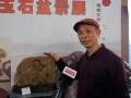 广东中山古镇喜迎首届大型奇石玉石盆景文化展