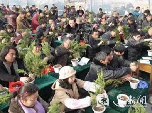 宿迁这里有场盆景免费培训 喜欢盆景的小伙伴还不快来！