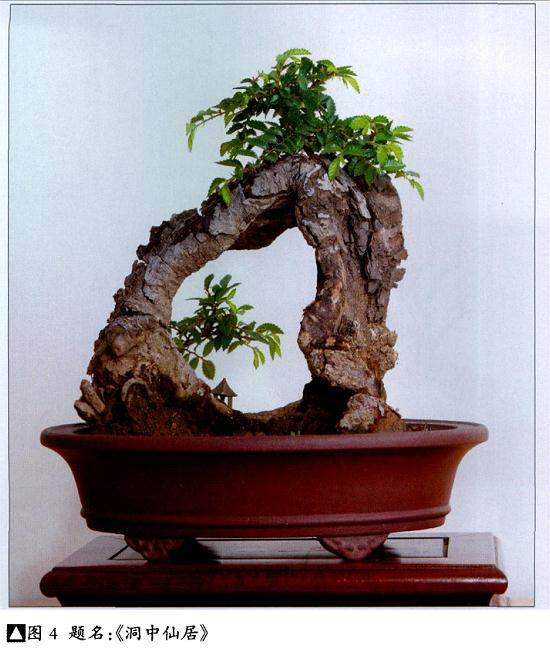 用五个例子说明如何制作好盆景