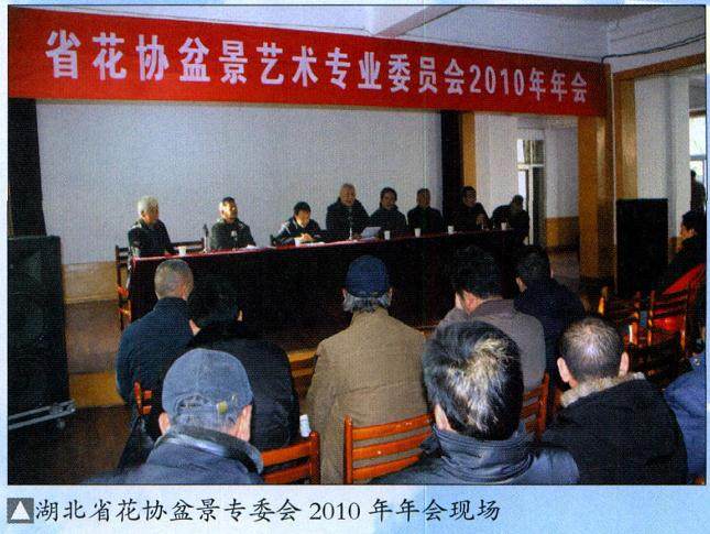 湖北省花木盆景协会盆景艺术专业委员会