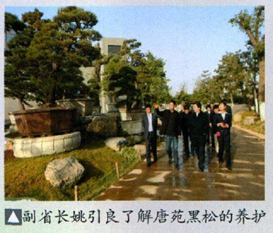 陕西省政府副省长姚引良来到中国唐苑盆景园视察