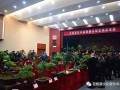 昆阳首届盆景展在镇文化中心展出