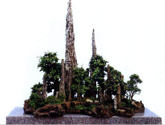 盆景大师刘传刚力作《艺海启航&mdash;&mdash;刘传刚盆景艺术轨迹》