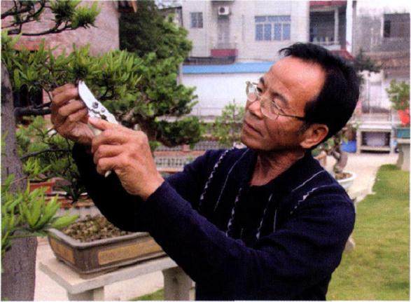 岭南盆景艺术家--梁常德