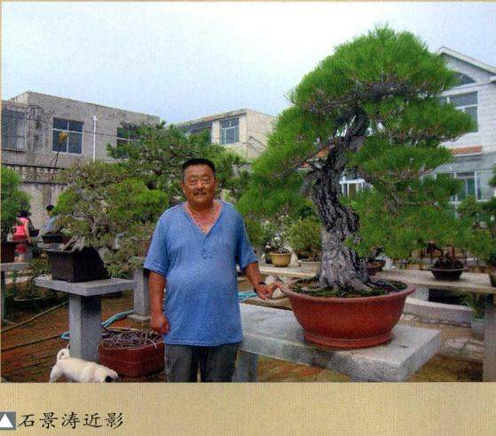 石景涛自1976年迷上盆景至今已30余年