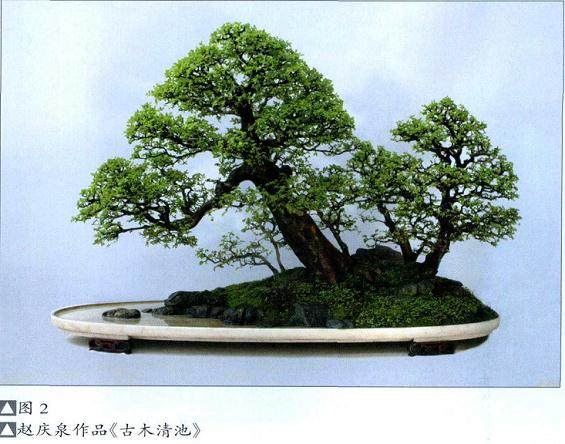 盆景创新是盆景界一个永恒的  主题，也是难题