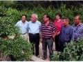 商丘市盆景协会会长刘中印先生应邀指导明香石榴园