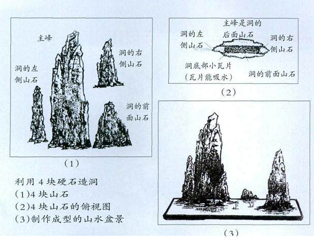 硬质石料水盆盆景的养护管理