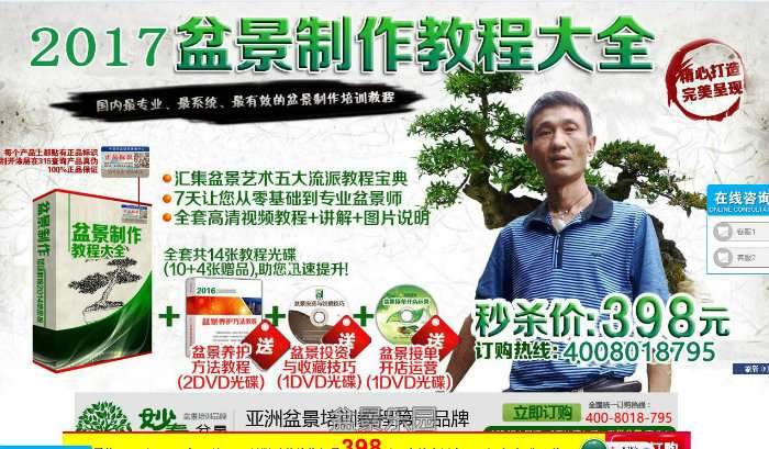 有人收徒弟:3天掌握岭南盆景 30天成为盆景制作师 可信么?